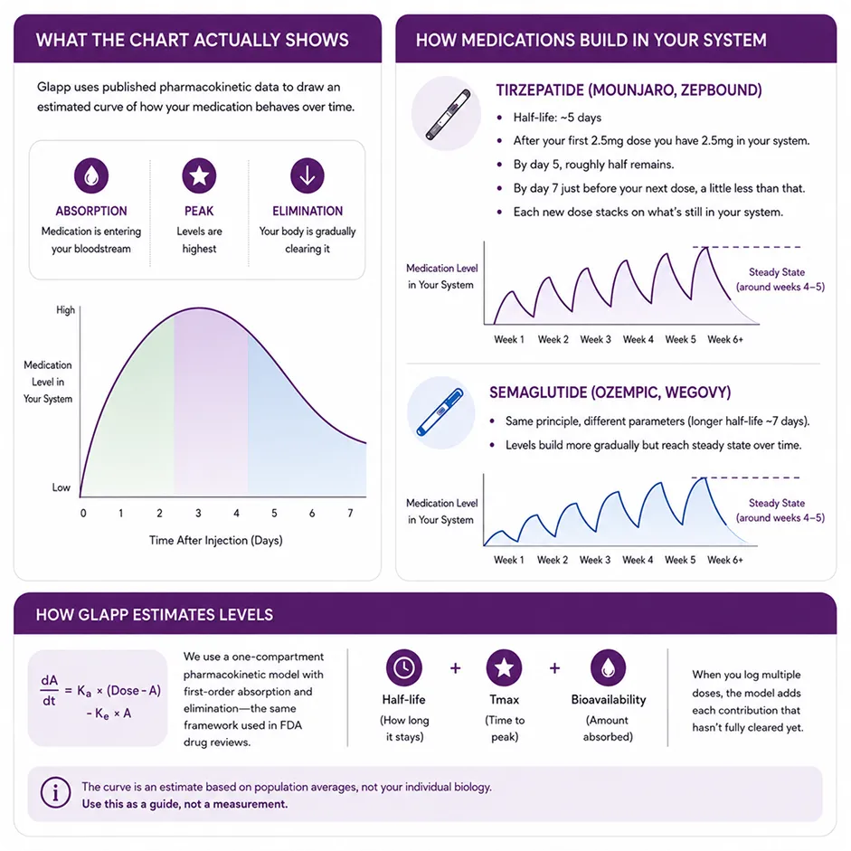One-compartment pharmacokinetic model with first-order absorption and elimination used by Glapp to estimate GLP-1 medication levels